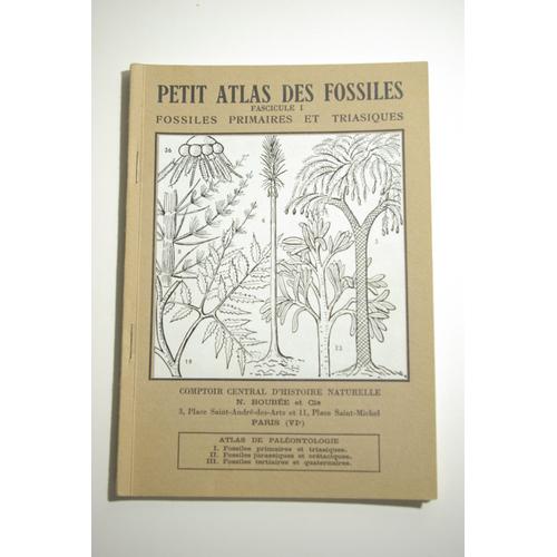 Petit Atlas Des Fossiles, Fascicule 1 : Fossiles Primaires Et Triasiques