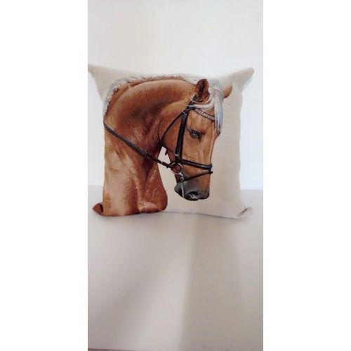 Housse De Coussin