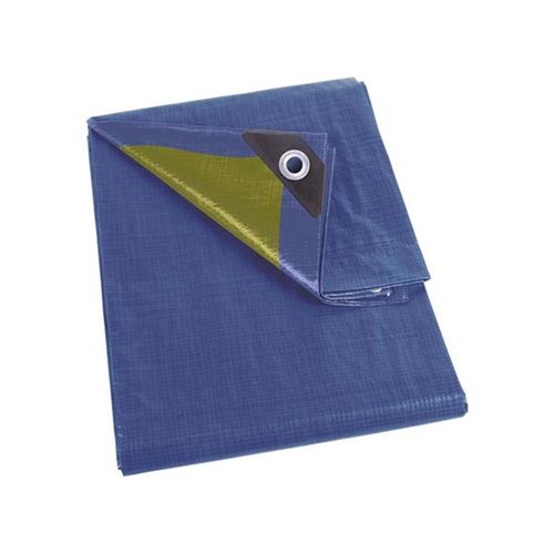 Bâche - Bleu/Vert - Standard - 6 X 10 M