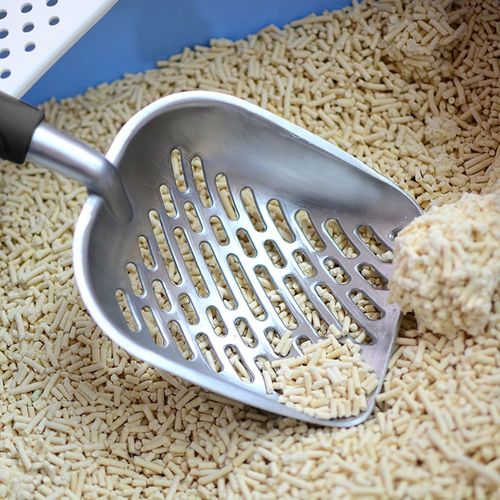 Outil De Nettoyage De Chat De Chien De Compagnie Durable Chiot Chaton Litière Scoop Confortable Pelle À Merde De Sable Produit Pour Animaux De Compagnie Fournitures De Chat