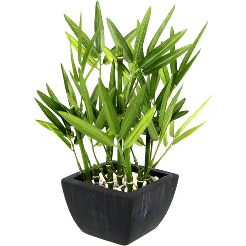 Vert Plante De Bambou Artificielle Dans Un Bol - Herbe De Bambou - Citronnelle Artificielle - Plante Verte - Plante D'intérieur - Arbre En Bambou - Arbuste Citronnelle - Herbes Asiatiques - 23 X 16 X