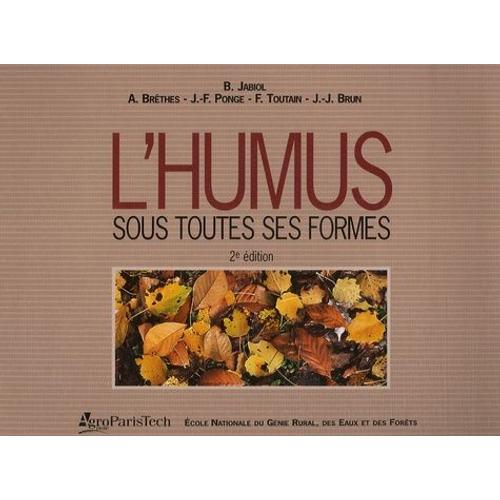 L'humus Sous Toutes Ses Formes