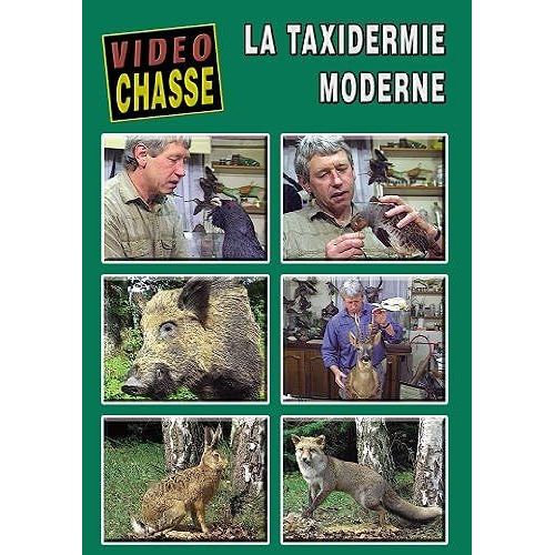 La Taxidermie Moderne