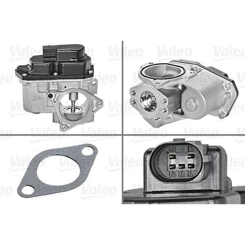 Valeo Vanne Egr 700424