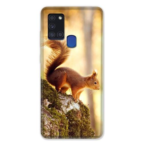 Coque Pour Samsung Galaxy A21s Ecureuil Bois