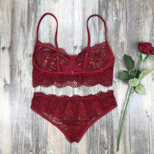 Ensemble De Lingerie Érotique En Dentelle Transparente, Sous-Vêtements Sexy Ajourés, Soutien-Gorge Et Culotte, Broderie, Intimes Pour Femmes