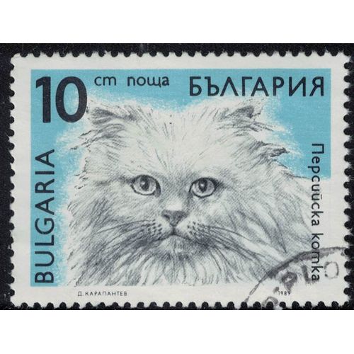 Bulgarie 1989 Oblitéré Used Animal Chat Persan Felis Silvestris Catus Su