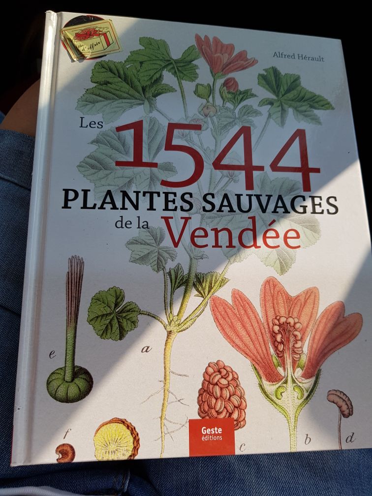 Les 1544 Plantes Sauvages De La Vendée