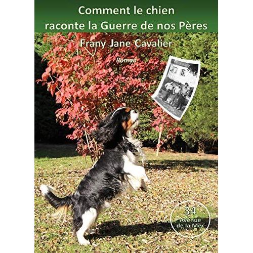 Comment Le Chien Raconte La Guerre De Nos Pères