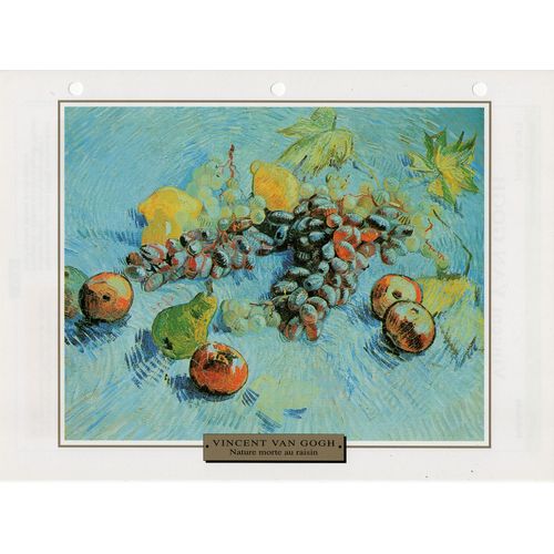 Fiche Chefs-DOeuvres Des Impressionnistes Nature Morte Au Raisin Vincent Van Gogh
