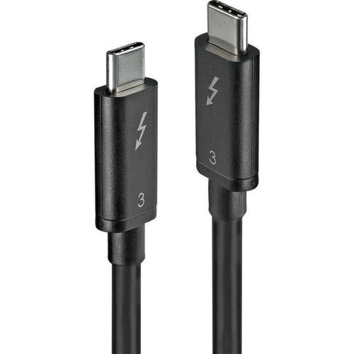 Lindy - Câble Thunderbolt - 24 pin USB-C (M) pour 24 pin USB-C (M) - USB 3.1 Gen 2 / Thunderbolt 3 / DisplayPort 1.2 - 50 cm - connecteurs réversibles, support 4K - noir