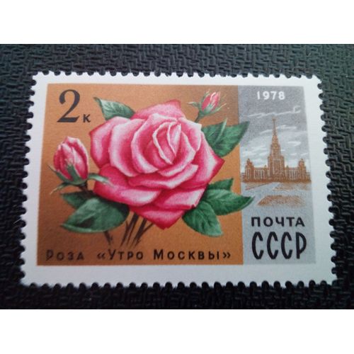 Timbre Urss / Russie Yt 4480 Rose "Matin De Moscou" 1978 ( 050904 )