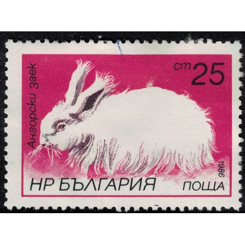 Bulgarie 1986 Oblitéré Used Animal Oryctolagus Cuniculus Forma Domestica Lapin Domestique Su