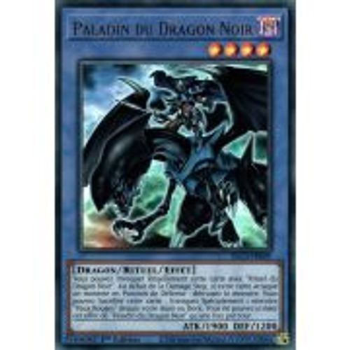 Yugioh! Paladin Du Dragon Noir (Dlcs-Fr069)