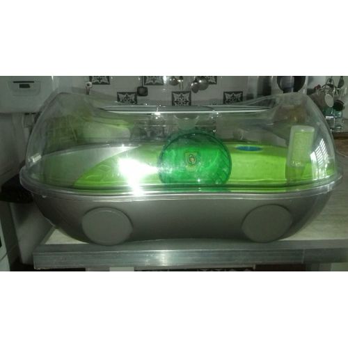 Cage Hamsters
