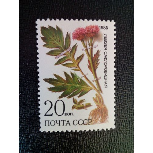 Timbre Urss / Russie Yt 5235 Plantes Médicinales Protégées En Sibérie 1985 ( 050904 )