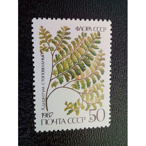 Timbre Urss / Russie Yt 5425 Adiantum Pedatum 1987 ( 050904 )
