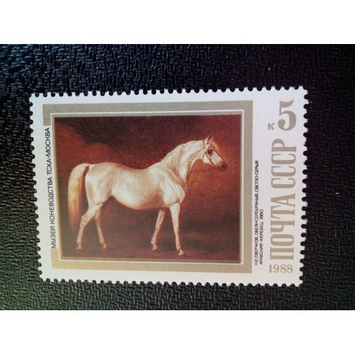 Timbre Urss / Russie Yt 5536 Étalon Arabe Gris Clair (N.Sverchkov, 1860) 1988 ( 050904 )