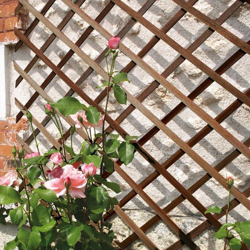 Treillis En Bois Fsc Extensible Trelliwood - 1 X 3 M - Marron