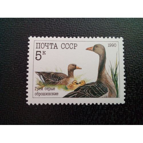Timbre Urss / Russie Yt 5764 Oie Cendrée (Anser Anser) 1990 ( 050904 )