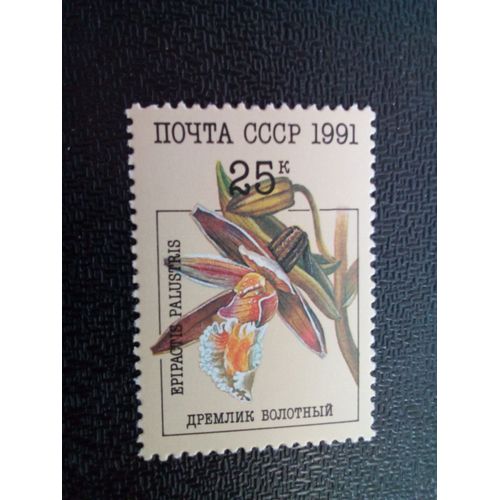 Timbre Urss / Russie Yt 5855 Epipactis Palustris 1991 ( 050904 )