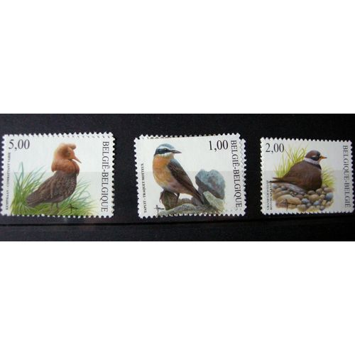 Timbres Belgique Oiseaux