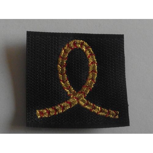Grade Velcro Sur Fond Bleu Neuf Éleve Officier Armée De L'air