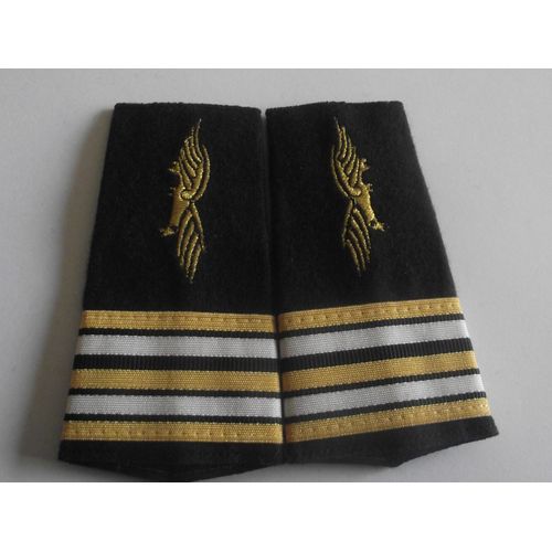 Fourreaux Neuf Grade Lieutenant-Colonel Armée De L'air