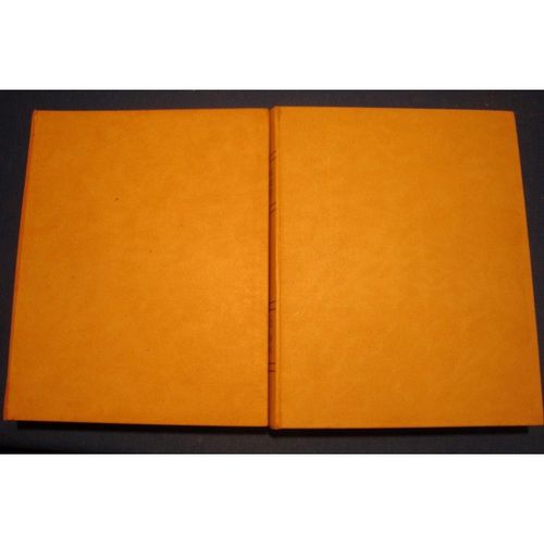 Georges Huisman Histoire Generale De L'art 2 Tomes 1957 Quillet