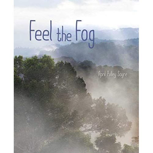 Feel The Fog