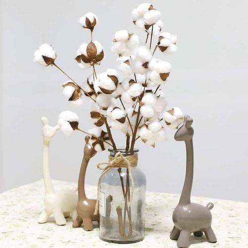 Tiges de coton séchées naturellement 21 pouces 1/2/3 pièces Remplisseur de  fleurs artificielles pour ferme décoration florale tiges de coton pour  couronnes | Rakuten