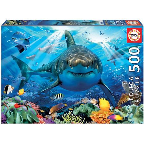 Genuine  500 Great White Shark