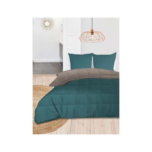 Couette 240x260 Cm Bicolore Celadon Lin