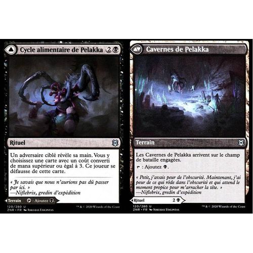 Cycle Alimentaire De Pelakka / Cavernes De Pelakka - Mtg - Renaissance De Zendikar - U - 120/280 Recto/Verso