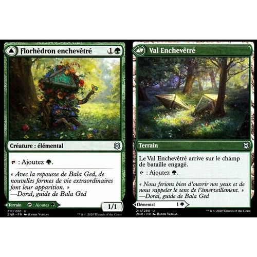 Florhèdron Enchevêtré / Val Enchevêtré - Mtg - Renaissance De Zendikar - U - 211/280 Recto/Verso