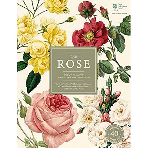 The Rose