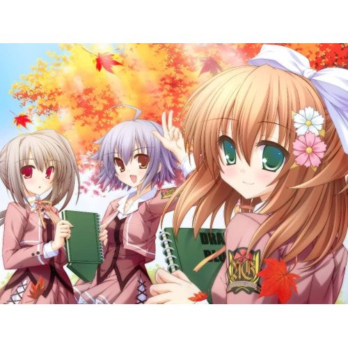 Eternal Etude: Canvas 4 [Limited Edition] [Import Japonais] Psp