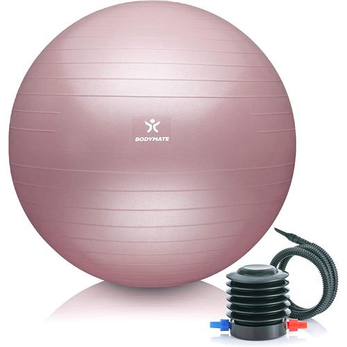 Rose Ballon Fitness + Pompe Incluse + E-Book Gratuit - Différentes Tailles & Coloris