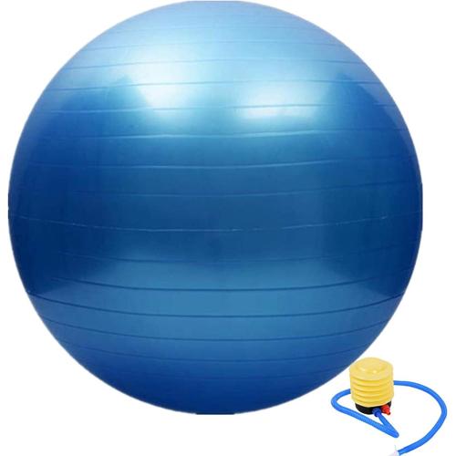 Bleu Ballon Suisse De Gym (45-75cm) Ballon D'entraînement Pilates Barre Stabilité Balle D'équilibre Ballon De Fitness