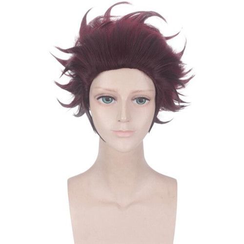 Envoie De France Perruque Déguisement Bonnet Cheveux Bicolore Wig Kimetsu No Yaiba Demon Slayer