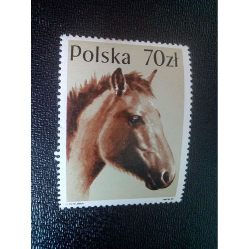 Timbre Pologne Yt 3002 Huzule Horse (Equus Ferus Caballus) 1989 ( 51004 )