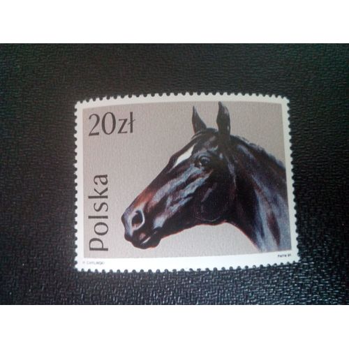 Timbre Pologne Yt 3000 Pur-Sang Anglais (Equus Ferus Caballus) 1989 ( 51004 )