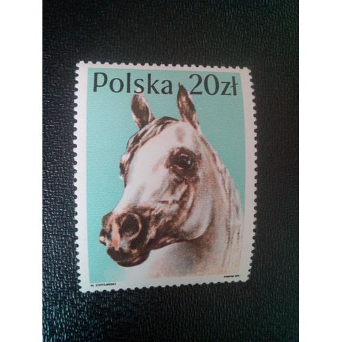 Timbre Pologne Yt 2999 Cheval Arabe (Equus Ferus Caballus) 1989 ( 51004 )