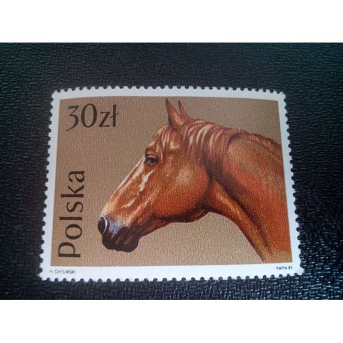 Timbre Pologne Yt 3001 Cheval Wielkopolski (Equus Ferus Caballus) 1989 ( 51004 )