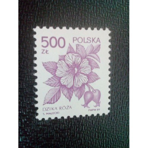 Timbre Pologne Yt 3057 Rose Sauvage (Rosa Canina) 1989 ( 51004 )
