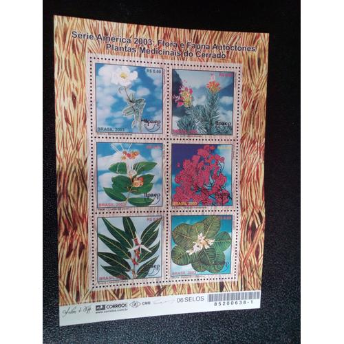 Timbre Bresil Yt 2825 A 2830 Flore Et Faune - Plantes Médicinales 2003 ( 81004 )