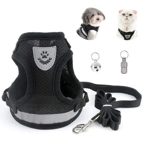 Harnais Chat Pour Adulte Colliers Harnais Et Laisses Pour Chats Chihuahua Harnais Chaton Avec Anti-Perte Pendentif D'adresse Et Grelots Pour Chat M