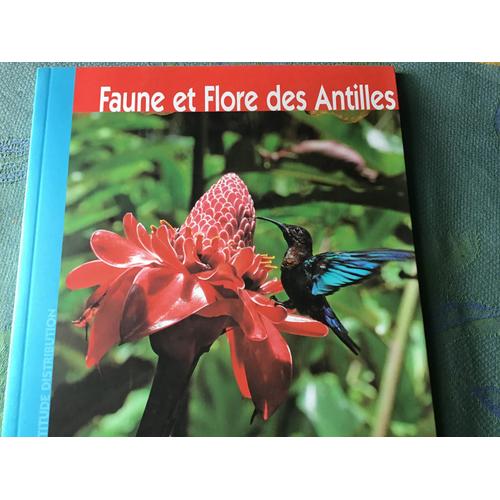 Faune Et Flore Des Antilles