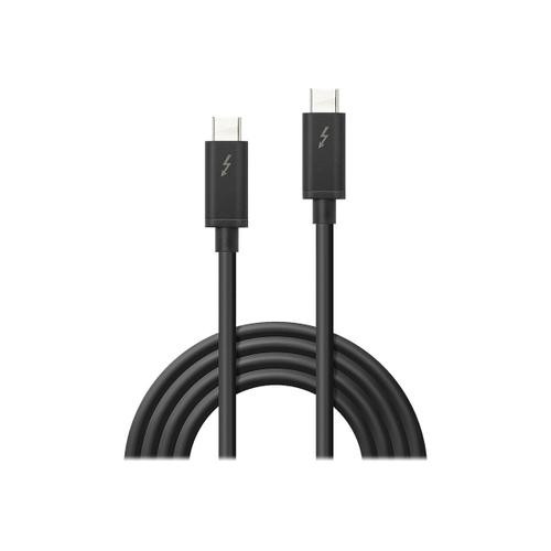 Lindy - Câble Thunderbolt - 24 pin USB-C (M) pour 24 pin USB-C (M) - USB 3.1 Gen 2 / Thunderbolt 3 / DisplayPort 1.2 - 2 m - connecteurs réversibles, support 4K - noir