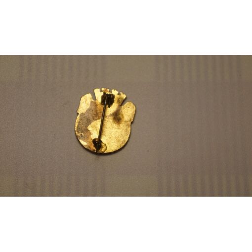 Broche Notre Dame De Lourdes – Occasion, Idéale Pour Collectionneurs